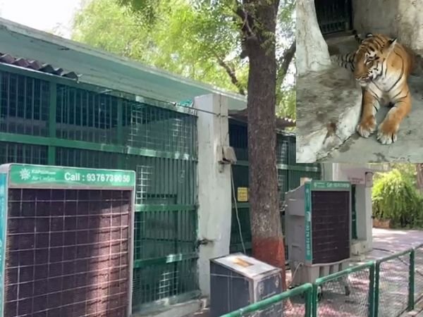 ahmedabad kankariya zoo animal rest cooler stand by positions